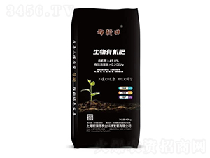 �����ЙC(j��)��-�ѝM(m��n)��