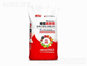 ���۵�ʩ�-�������