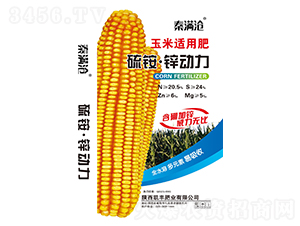 ���@���\��(d��ng)��-�P�S�ʘI(y��)