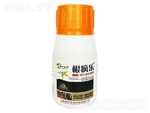 根瘋樂-田地田香-舒寧