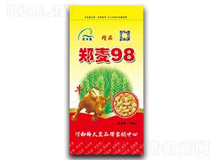 ����98��С���N�ӣ�-��(l��)��-���ڷN�I(y��)