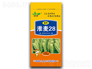 ��(gu��)������28��С���N�ӣ�-��(l��)��-���ڷN�I(y��)