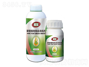 ����ֲ�������T����-չ��-�й��r(n��ng)��