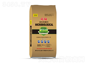 ̼ø΢�������-ʥ�ϝ�