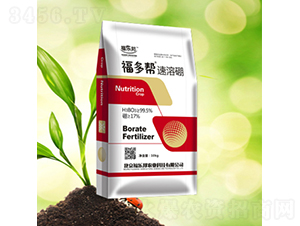 10kg������������-������