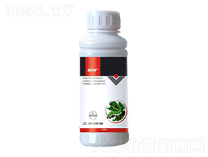 1.8%���S����-�ΰ��o