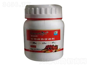 ��������������M(j��n)��-�Ѹ�