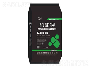 �����-�v���ʘI(y��)