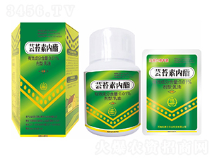 �|̦�؃�(n��i)��-��ِ�����S��-��ِ��