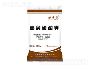 �߼������-ؔ(c��i)������