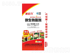 ΢�������-������-���S����