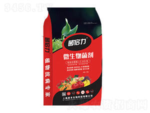 ΢�������-���S����