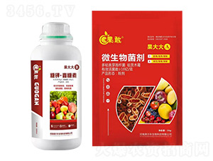 ��⛡�������+΢�������-�����A+B-����������