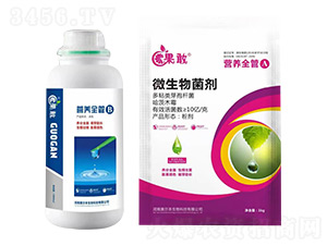 �I�B(y��ng)ȫ��A+B-����-����������