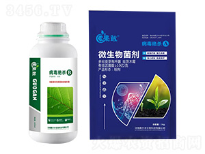 �����^��A+B-����-����������