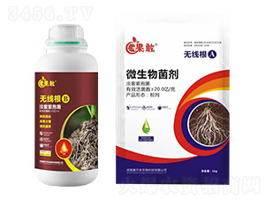 �o(w��)����A+B-����-����������