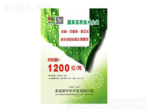 �����ؽ����-�п��r(n��ng)�I(y��)