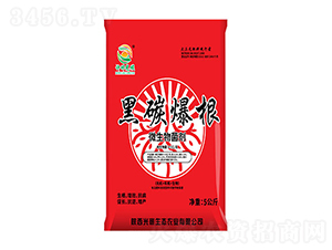 ��̼����΢�������-��̼���B(t��i)