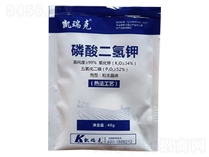 ��������-�P���