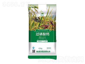 �^�����}-���S�ʘI(y��)