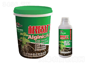 ��������(f��)��΢�������-����ʘI(y��)