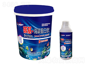 ̼�����嵰����-����ʘI(y��)