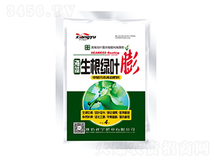 ���������G�~��-����ʘI(y��)