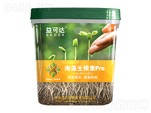 ����������pro-����_-�к̄���