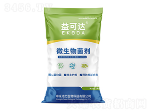 ΢�������-����_-�к̄���