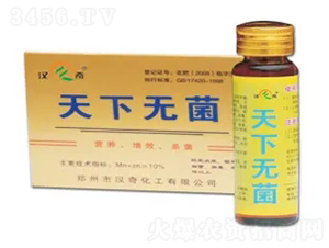 ���o��-�h�滯��