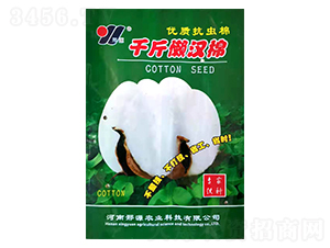 ǧ��Нh��-�޻��N��-��Դ�r�I(y��)