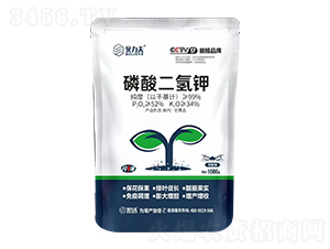 1000g��������-ؐ����-� ��S