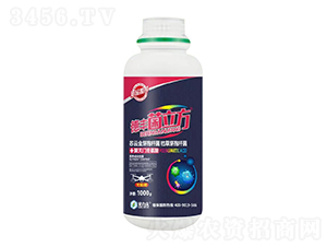 ���S������-� ��S