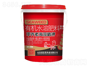 �ך��غ��徫�-�𸻵�