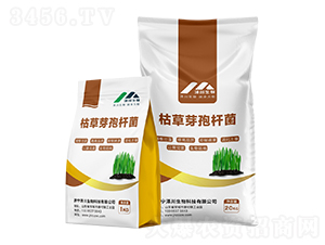 �ݲ�ѿ�ߗU��-�ɴ�����