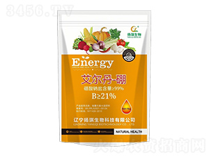 ��������-�P(y��ng)������