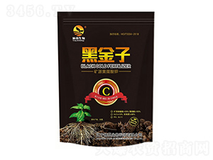 �VԴ�S�����-�ڽ���-�P������