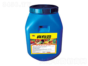 ���Є�-���S����