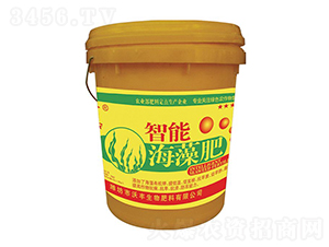 ���ܺ����-���S���r-���S����