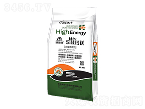 ���}�V�����{�턩-��ʩ�á���ʩţ-�����S����