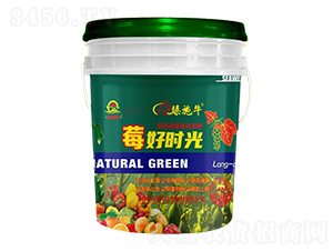 ���İ����Ṧ�ܷ�-ݮ�Õr��-��ʩţ-�����S����