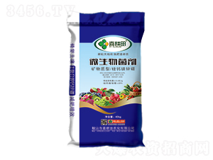 ΢����������V���|(zh��)�͹��}�V�\��-ϲ����