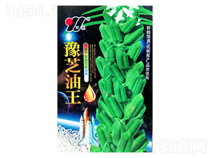 ԥ֥����-֥��N��-��Դ�r(n��ng)�I(y��)