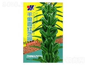 ǧ����t֥��-֥��N��-��Դ�r(n��ng)�I(y��)