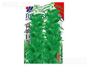 ���;�֥-֥��N��-��Դ�r(n��ng)�I(y��)