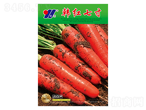 �n�t�ߴ�-�}���N��-��Դ�r(n��ng)�I(y��)