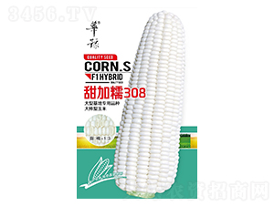 ���Ŵ308���׷N��-��Դ�r(n��ng)�I(y��)