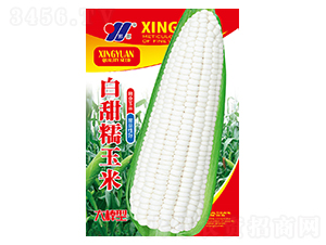 ����Ŵ-���׷N��-��Դ�r(n��ng)�I(y��)