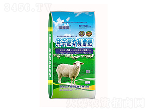 ����S�ЙC(j��)����-�ָ���