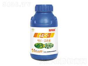 �Ŷ����|̦��-ʩ����-ʢ���r�I(y��)